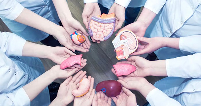 C_11a_organ-donation.jpg